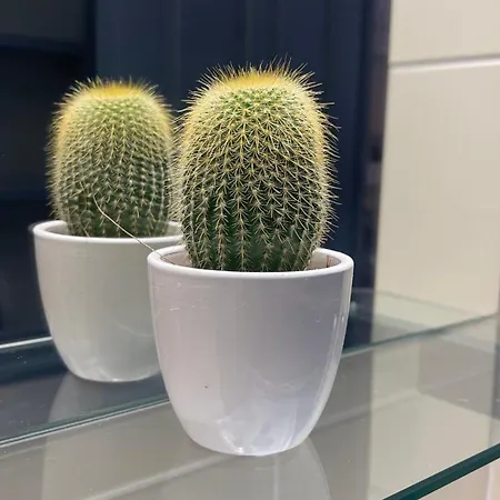 St.mammas Traditional Hébergement de vacances *