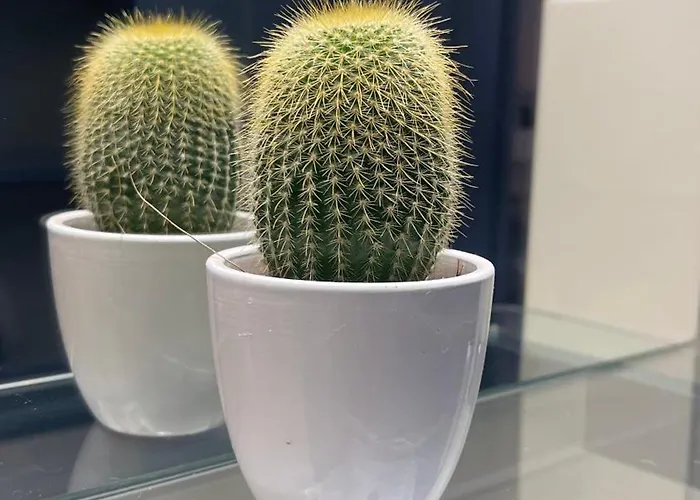 St.mammas Traditional Semesterbostad *